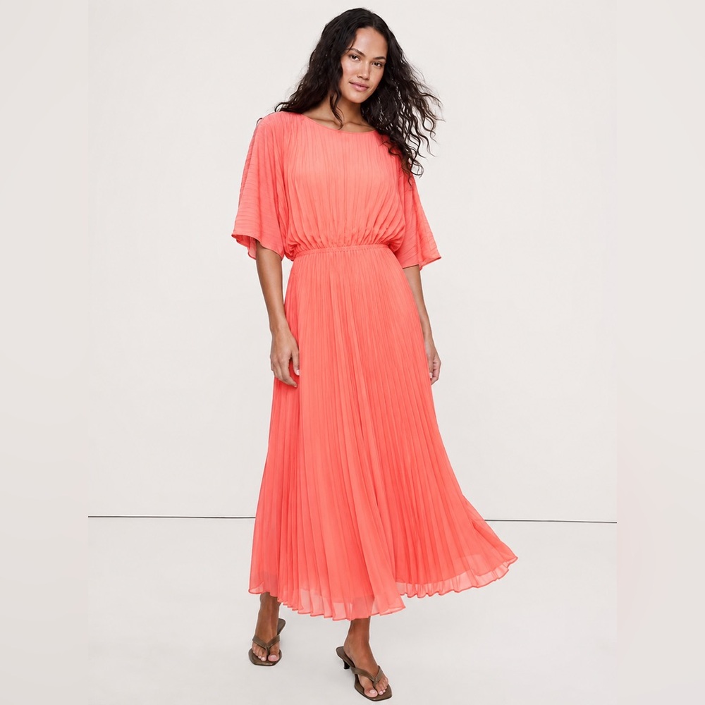 NWT! Banana Republic Lei Flower Chiffon Pleated Maxi Dress - Size Large Petite 🪈